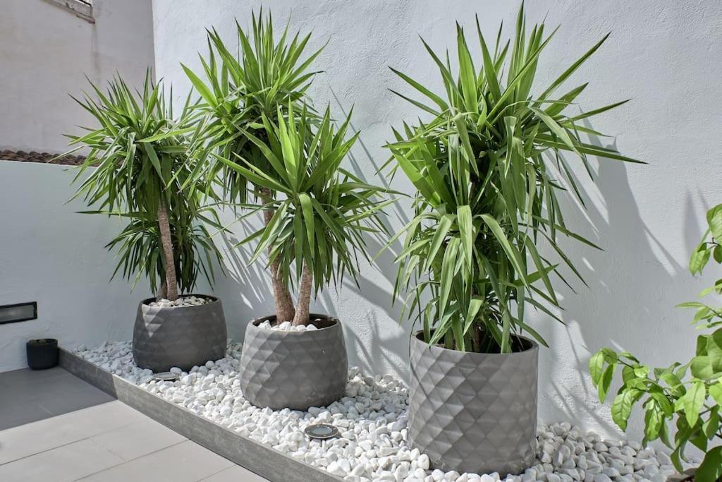 Ferienwohnung Sunny Cozy Penthouse With A Terrace At Plaza Del Carmen Valencia Exterior foto